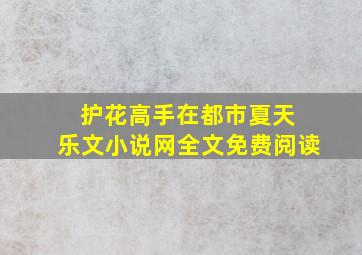 护花高手在都市夏天 乐文小说网全文免费阅读